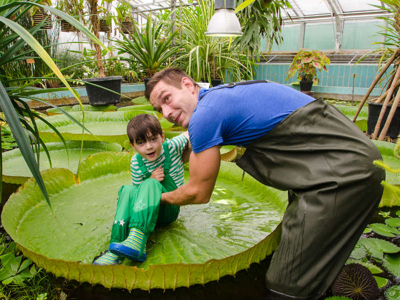 Botanischer Garten Urlaub In Greifswald